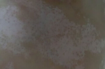 ʲô